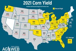2021 Corn Yields