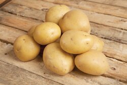 Gold potatoes are one of the first varieties to harvest as the new-crop potato season starts at Cal-Organic Farms, a division of Grimmway Farms.