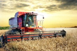 combine soybeans