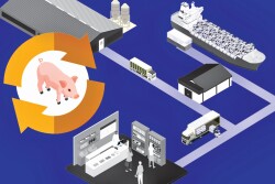 Traceability Pork Supply Chain