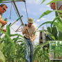 Chris Henry, center, readies the ground while Tommy Young and Greg Simpson, right, wait to place and connect moisture sensors like those shown in place, inset.