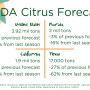 US citrus forecast