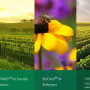 In 2019 FieldWatch, Inc., is launching two technologies to supplement its existing tools that help applicators, growers and beekeepers communicate about the locations of crops and hives.