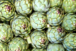 artichokes