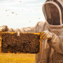 Beekeeper, hive