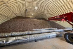 The Ruby Co. potato shed