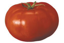 0DC51983-083E-4999-B4FE15A4952E2798.png