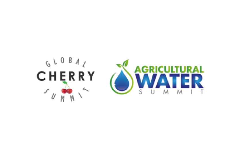 global cherry