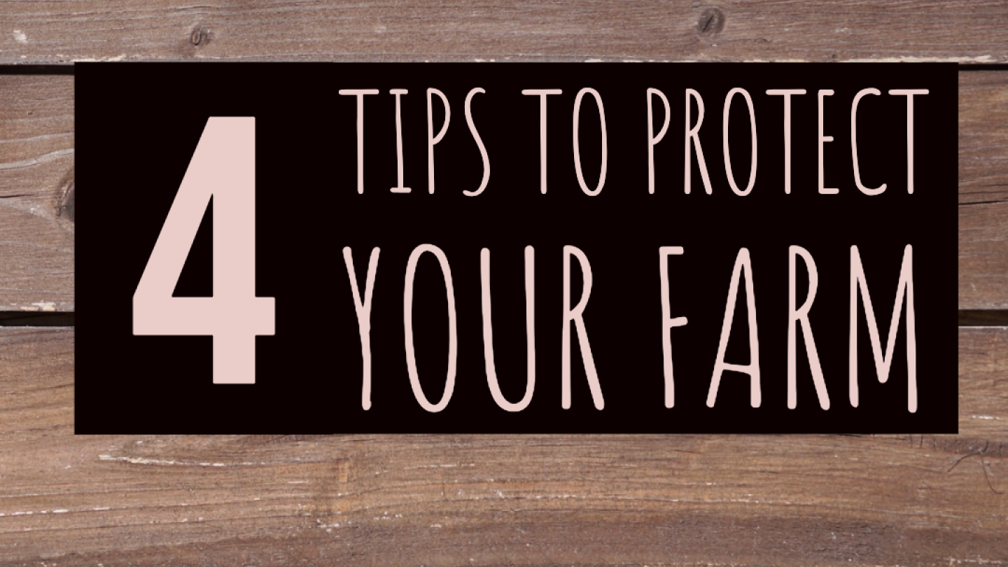 How to Protect Your Farm From Activist Attacks - Dairy Herd