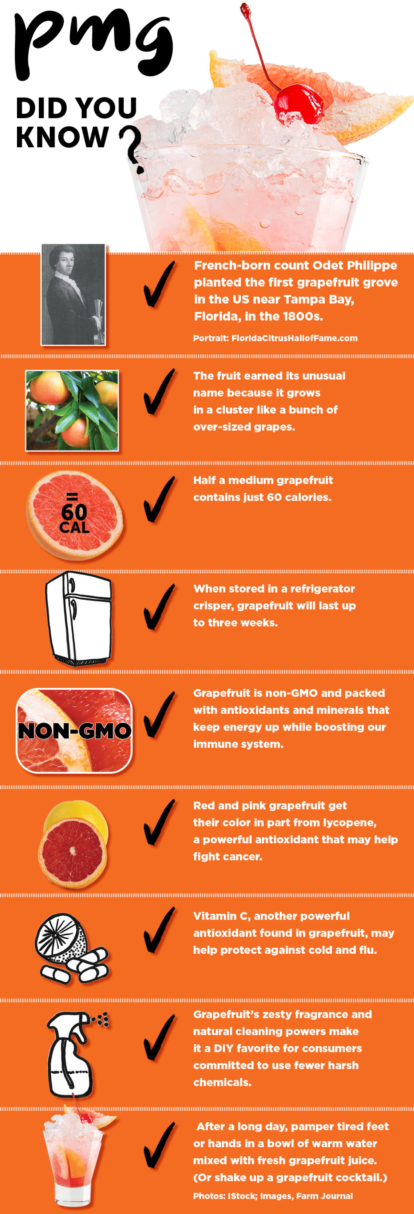 1024-web-scroll-grapefruit-PMG.jpg