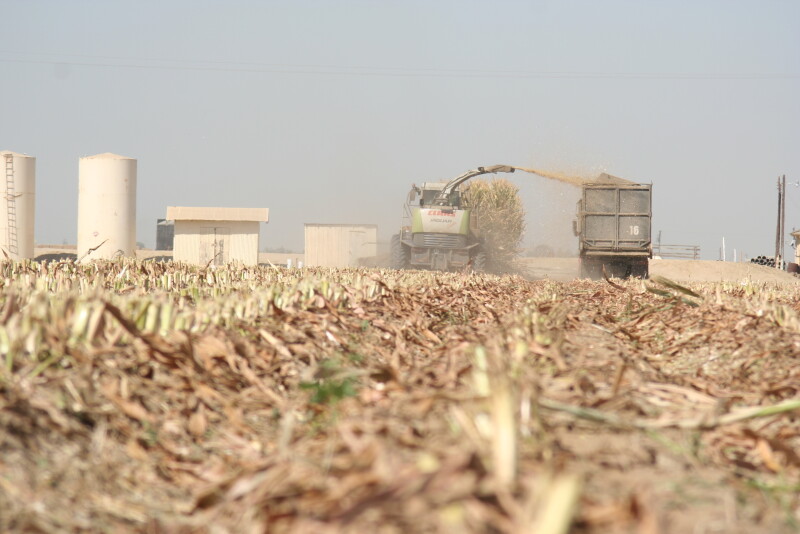 “A cover crop for crop insurance purposes, we have a broad definition, and it's generally many things that any crop that can be planted for erosion control, soil improvement, or any other type of conservation practice,” he told AgriTalk host Chip Flory. 