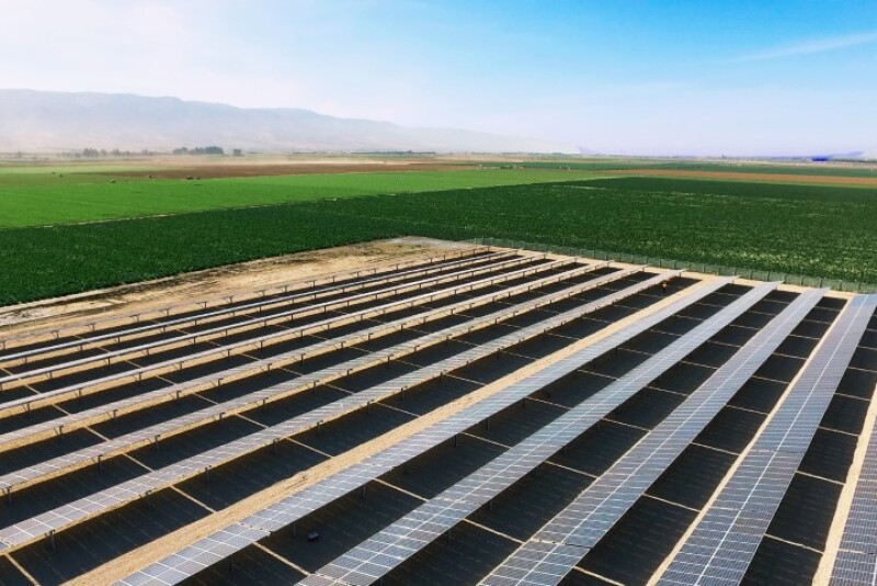 Solar panels at Merrill Farms.