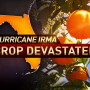 Hurricane Irma
