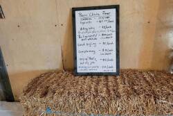 Barn Chore Fines in the Barn