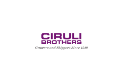 ciruli