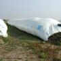 Silage_Bags-Univ_of_Wisconsin.jpg