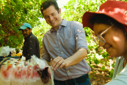A man in the middle of the photo reaches for items in a basket. He is in a field, with another man to the left of the frame and a woman to the right.