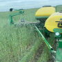 Holten field shot