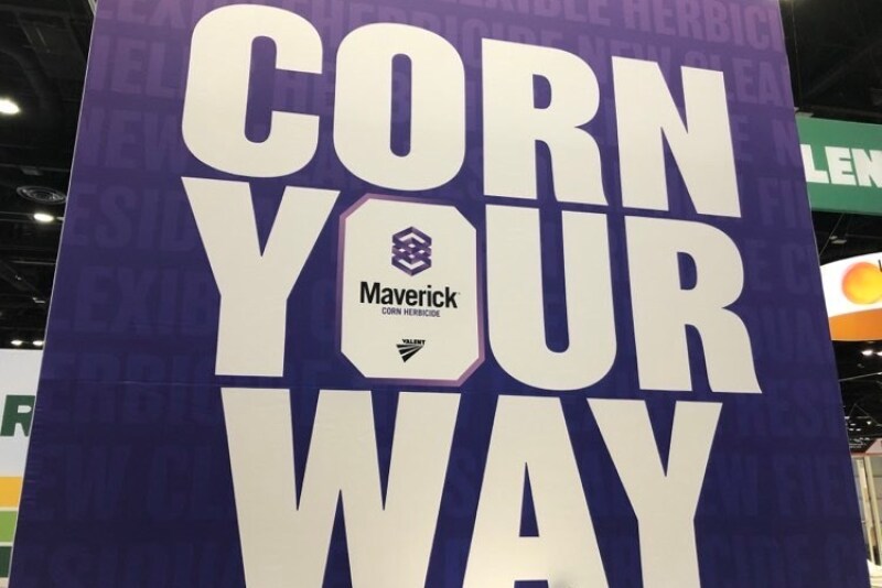 The company, known for its extensive work in soybeans, formally moves into the corn marketplace with its introduction of Maverick herbicide, now available for use this season