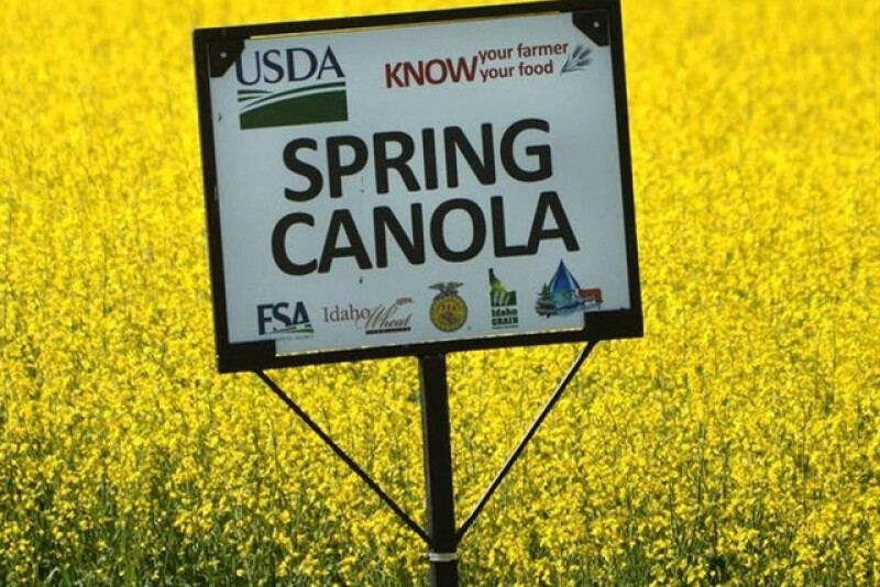 canola_know_your_farmer_courtesy_Lewiston_Tribune