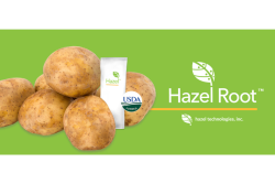 Hazel Root (1).png