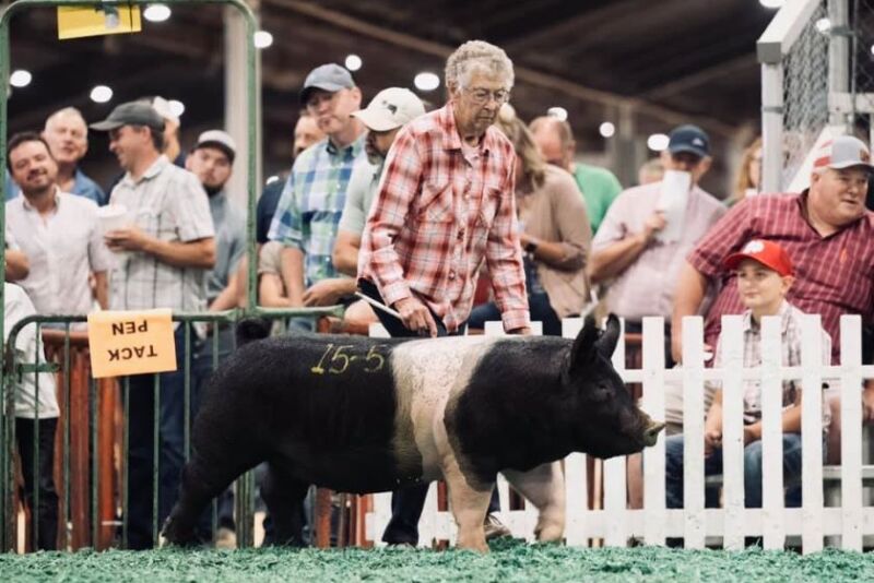 Lois Martin showing a Hamp gilt