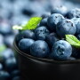 Hortifruit