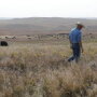 North Dakota Stockmen's Association
