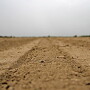 FARMLAND