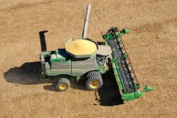 Freeze damage adds complexity to yield reports.