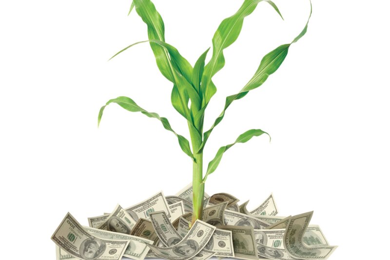 One possibility for USDA would be to tap the Commodity Credit Corporation (CCC) Charter Act, the so-called ATM machine for aggies. One source asked: Would any fertilizer aid come in time to impact corn plantings?