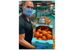 Oppy senior sales representative James Galindo displays Oceanside Pole tomatoes.