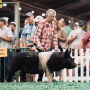 Lois Martin showing a Hamp gilt