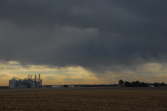 “Over the next five years, ag retailers will need to get a handle on changing customer needs, lower expected industry working capital, and rising property casualty insurance costs,” Ken Zuckerberg writes. 