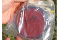 micro field sample