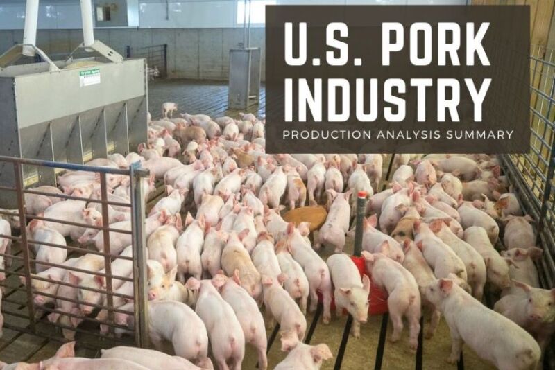 US Pork Production Analysis Summary 3