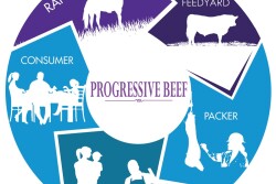 Beef supply chain value alignment