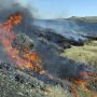 Federal officials have released a plan to save sagebrush habitats in Western states that support cattle ranching, recreation and 350 wildlife species, including imperiled sage grouse. Officials say the 248-page document released this month is a paradigm shift relying on advances in technology and analytics to categorize sagebrush areas based on resistance and resilience to wildfire.