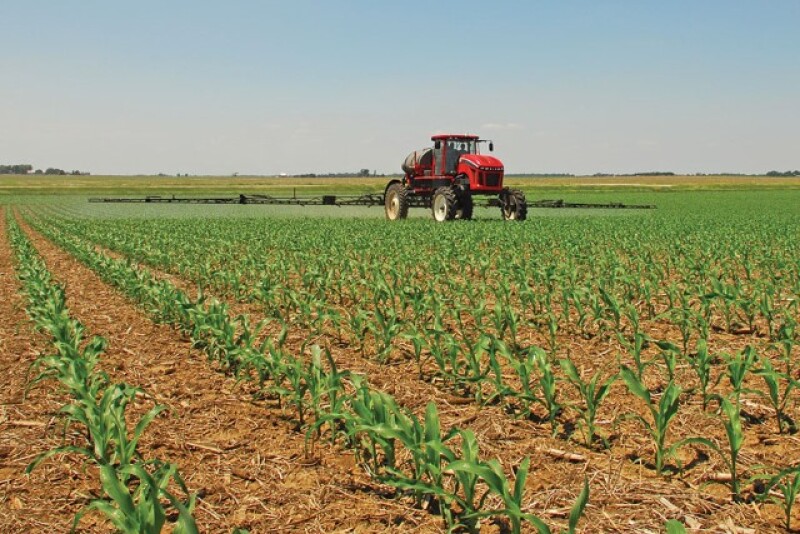 “The main troubles have been with glyphosate and glufosinate,” Amy Asmus says. “And I’m worried more about glufosinate.” 