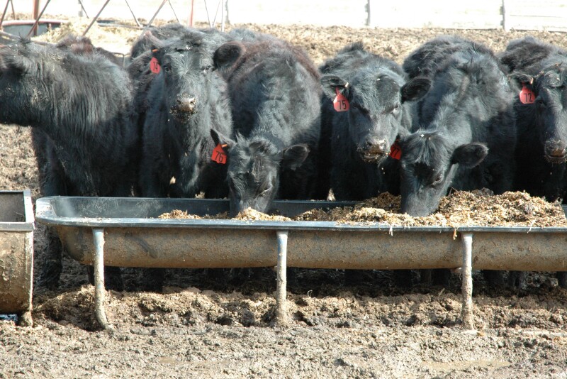 Weaning