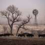 Smokehouse_Creek_SC_0360.jpg