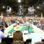 NSR Sale