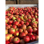 chile honeycrisp