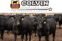 CAB Colvin Scholarships
