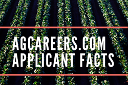 Finding it harder to track down the right new hires? Here’s why. 