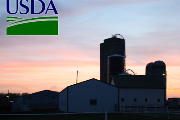 USDA-grain-bins-sunset.jpg