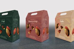 Michigan Fresh Marketing LLC offers apples in an earth-friendly recyclable cardboard box for consumers who don’t want to buy polybagged product out of concern for the environment, says Chuck Yow, director of U.S. sales and business development.