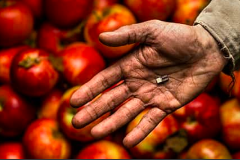 Grow-NY selects 18 finalists.