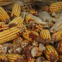corn-in-pile-1499798-640x480