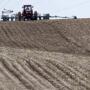 Planting-cornsoy_1_1.jpg